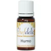 Aroma de Humo 10 ml - Sin gluten - Chefdelíce