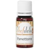 Aroma de panettone 10 ml - Sin gluten - Chefdelíce
