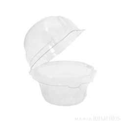 Cajas de plástico para 1 cupcake (10)