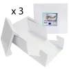Cajas para tartas cuadradas con tapa 38,5 x 38,5 x 15 cm (3) - PME