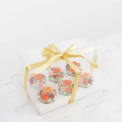 Caja transparente con base, tapa y lazo Crystal 6 cupcakes 27 x 18 x 14 cm - PME
