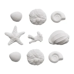 Conchas de mar de azúcar (9) - Decora