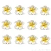 Flores Azaleas blancas y amarillas de azúcar 3 cm (12) - Decora