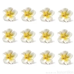 Flores Azaleas blancas y amarillas de azúcar 3 cm (12) - Decora