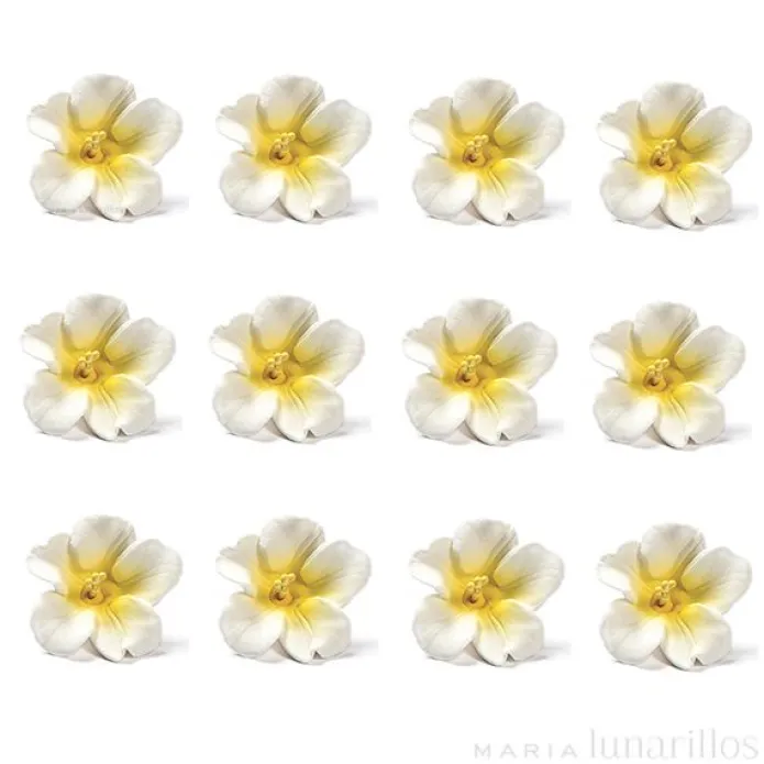 Flores Azaleas blancas y amarillas de azúcar 3 cm (12) - Decora