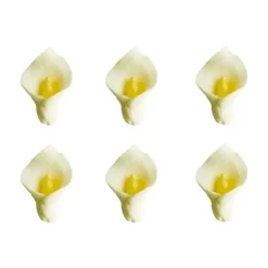 Flores Calas de azúcar 4 cm (6) - Decora