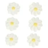 Flores de azúcar margaritas 2,3 cm (16) - Funcakes