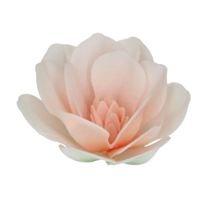 Flores de oblea magnolias blancas y rosas 6 cm (6) - Funcakes