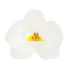 Flores de oblea orquídeas blancas 8 cm (10) - Sin gluten - Dekora