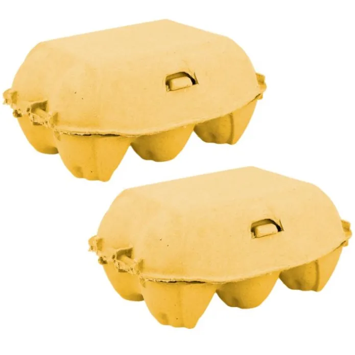 Hueveras de cartón amarillas (2)