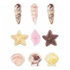 Molde conchas marinas para candy melts - Wilton