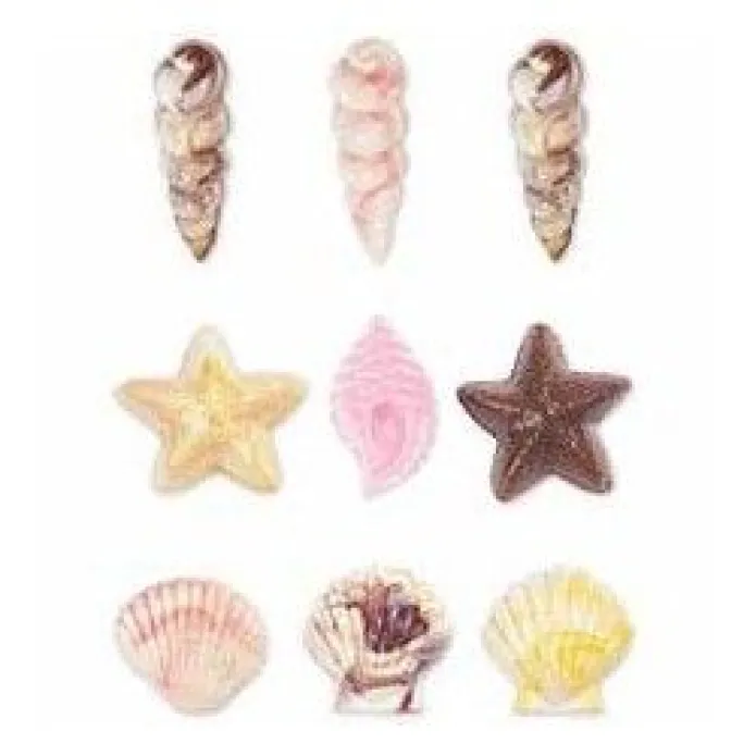 Molde conchas marinas para candy melts - Wilton