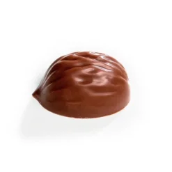 Molde de policarbonato para 18 bombones Nueces - Martellato
