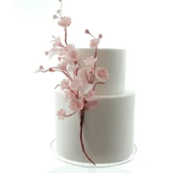 Moldes silicona para fondant flores frutales (2) - Katy Sue Designs