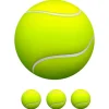 Oblea de Pelota de Tenis - 20 cm - María Lunarillos