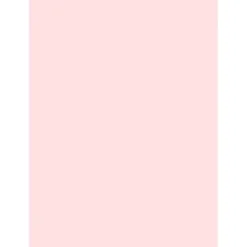 Oblea fina para flores nº 6 - Papel de arroz o wafer paper