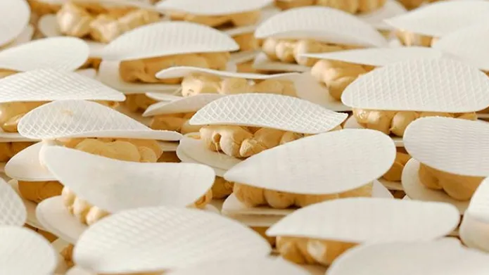 Obleas redondas para turrón 15 cm (10) - Sin gluten - Calidad A