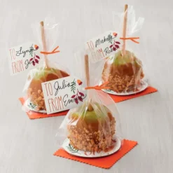 Palitos de madera de bambú para cake pops y piruletas 12,7 cm (30) - Wilton
