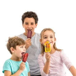 Palos para helados grandes (20) - Lékué