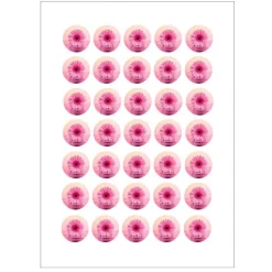 Papel de azúcar - 35 fotos iguales en Círculos de 3 cm - Impresión comestible personalizada