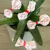 Papel de fibra vegetal - Cuadrado de 15 cm - Impresión personalizada