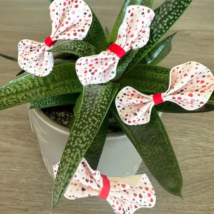 Papel de fibra vegetal - 15 fotos iguales en Corazones de 5 cm - Impresión personalizada