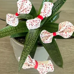 Papel de fibra vegetal - 70 fotos iguales en Cuadrados de 2 cm - Impresión personalizada