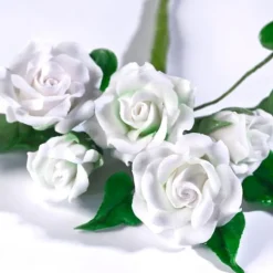 Pasta de flores y modelado blanca 250 g - Renshaw