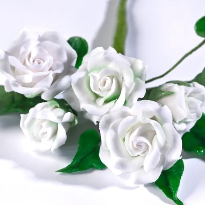 Pasta de flores y modelado blanca 250 g - Renshaw