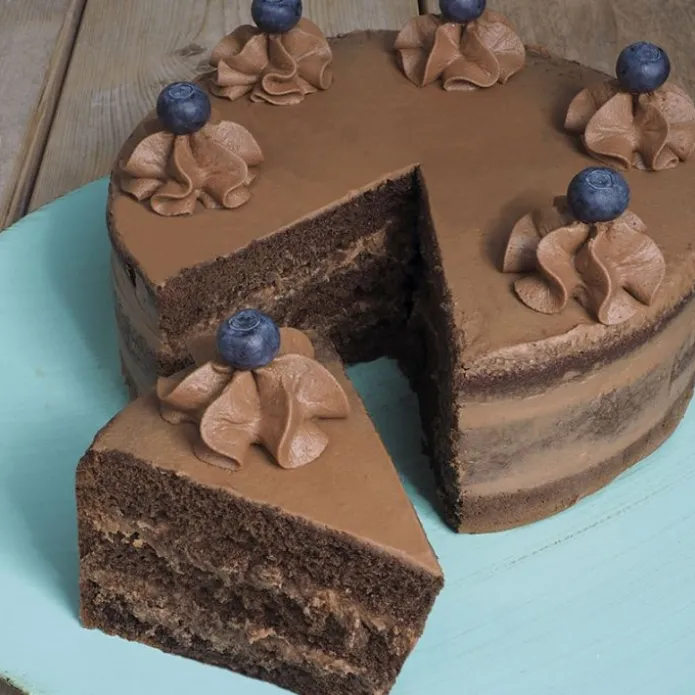Preparado para bizcocho de chocolate 1 kg - Funcakes