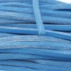 Regaliz azul de frambuesa con azúcar glas (200 uds) - Fini