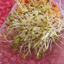Semillas de alfalfa para germinar ecológicas 120 gr - Sonnentor
