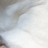 Semolina ecológica de trigo duro 1,5 kg - El Amasadero