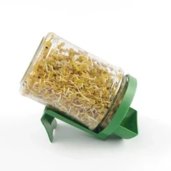 Tarro para germinar semillas con soporte - Cristal - Germline