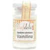 Vainillina en polvo 25 g - Sin gluten - Chefdelíce