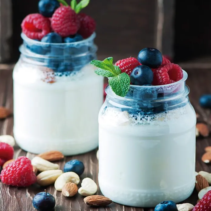 Yogurtera White 1 litro - Lacor